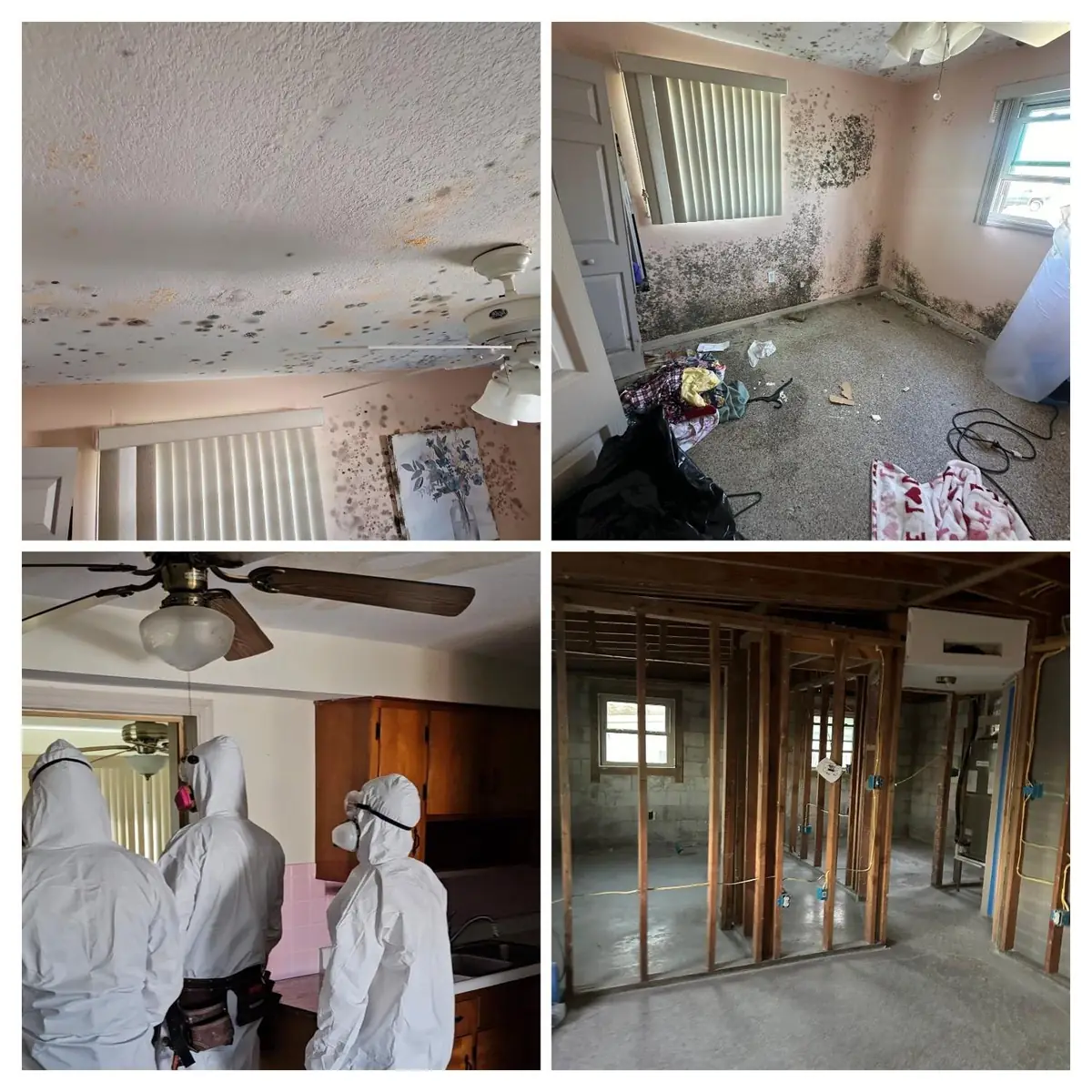 Aftermath Restoration Group mold remediation job: mold on a bedroom ceiling and walls, technicians in protective suits, and the room opened to the studs